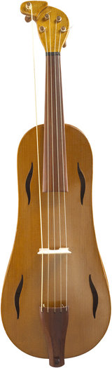 2/234 5-string fiddle